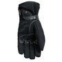 wfx2_grey_palm-
