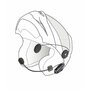 interphoucom7rtp-5-jpg_w640-