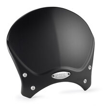 GIVI PLEXI 100ALB