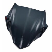 GIVI PLEXI ŠTÍT BMW G 310 R A5125