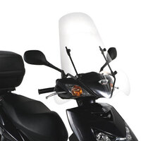 GIVI PLEXI DYLAN-BEVERLY-B&W '04 102A